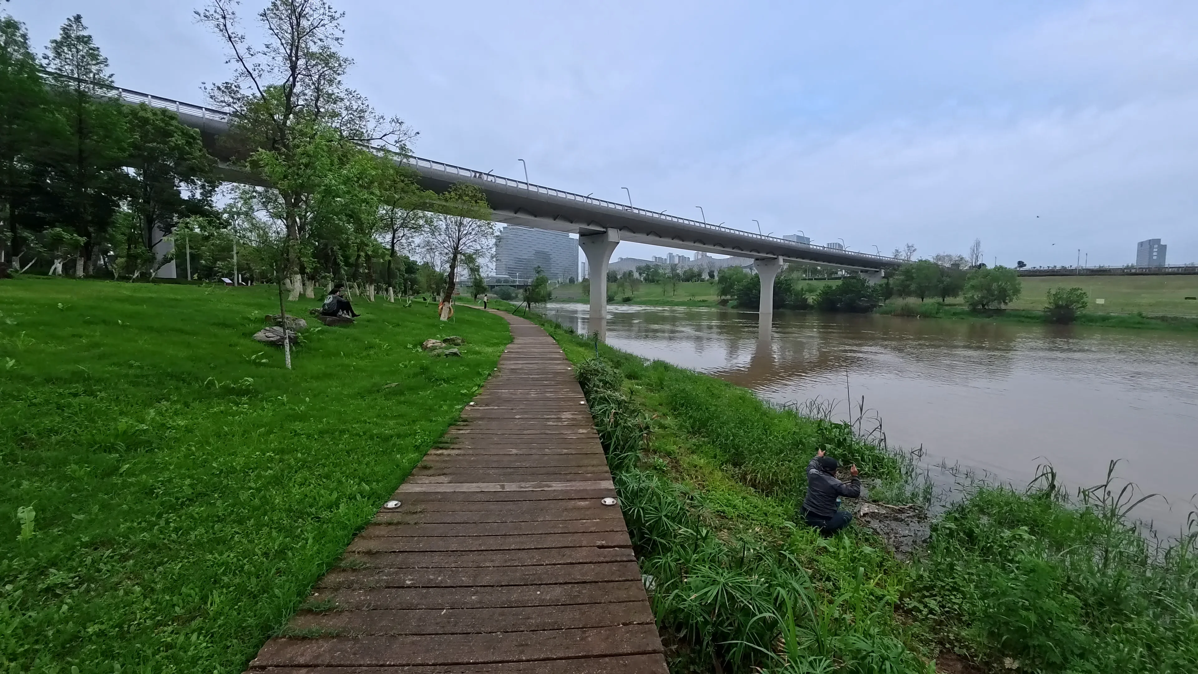 Graceful pedestrian bridge above a peaceful waterfront landscape