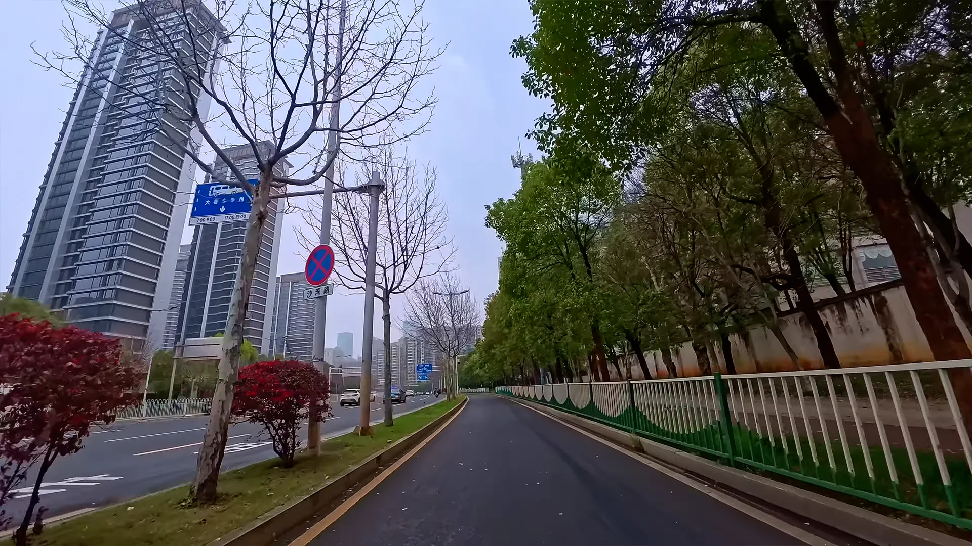 Tree-lined path beneath soft overcast skies